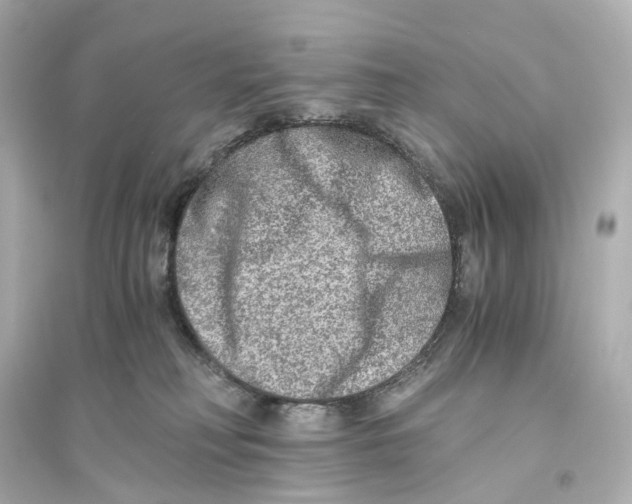 X0000093770230200711131219