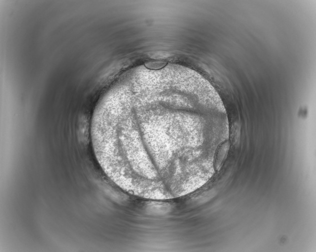 X0000093770234200711131219