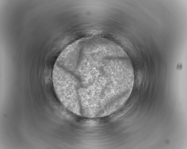 X0000093770236200711131219