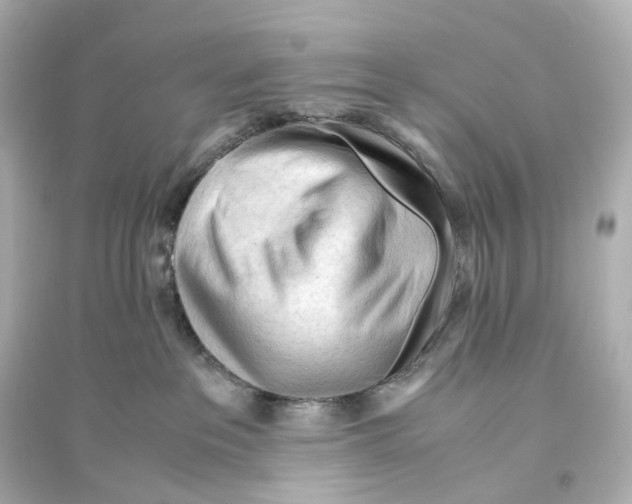 X0000093770237200711131219