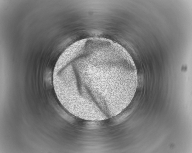 X0000093770238200711131219