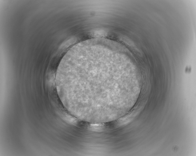 X0000093770240200711131219