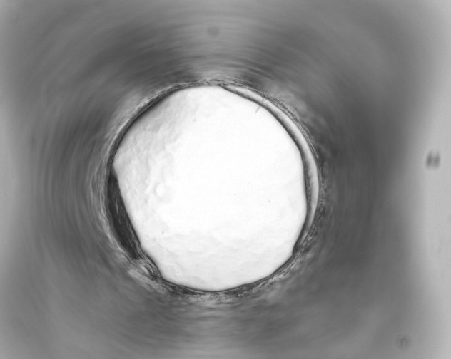 X0000093770241200711131218