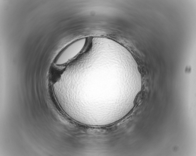 X0000093770242200711131218