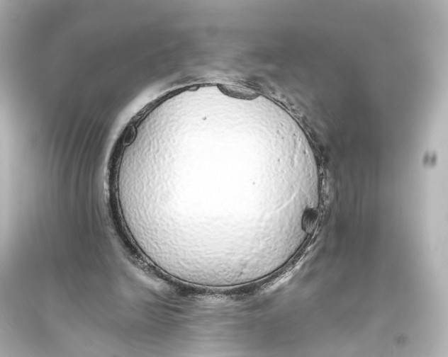 X0000093770246200711131218