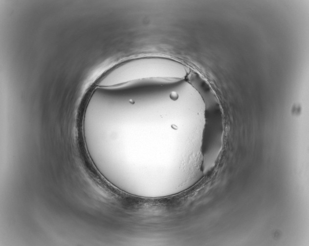 X0000093770248200711131218