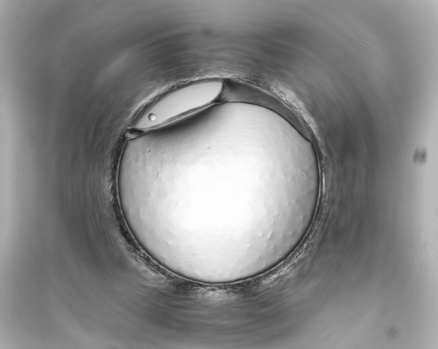 X0000093770249200711131218