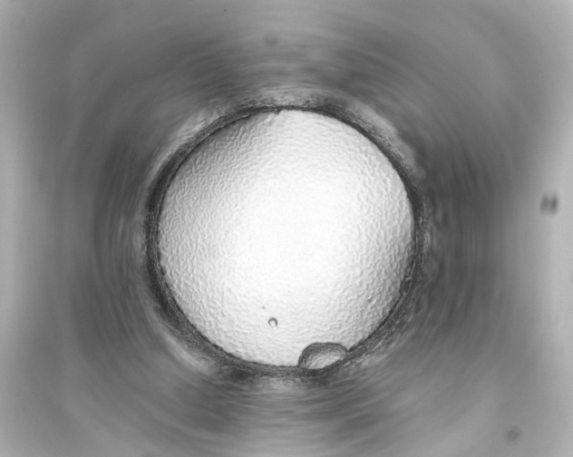 X0000093770250200711131218