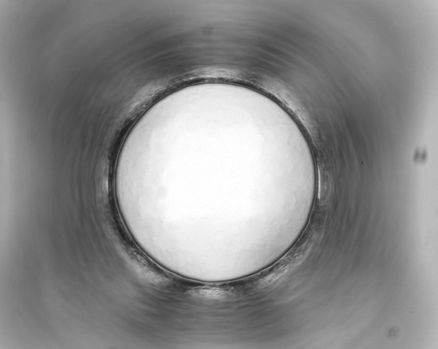 X0000093770253200711131218