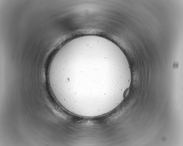 X0000093770254200711131218