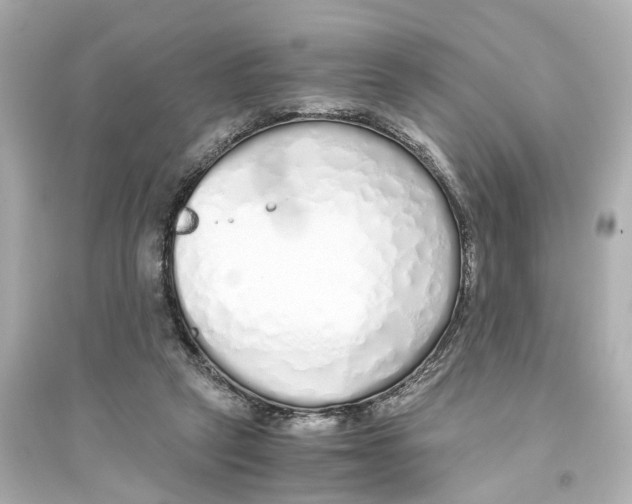 X0000093770257200711131218