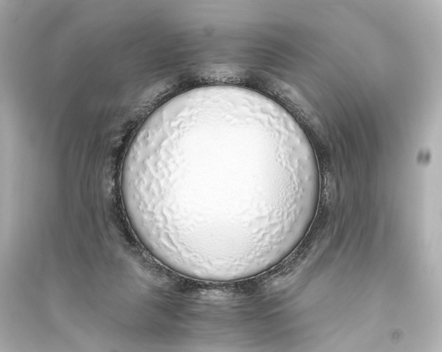 X0000093770259200711131218