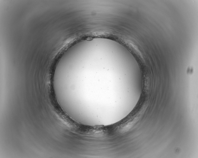 X0000093770260200711131218