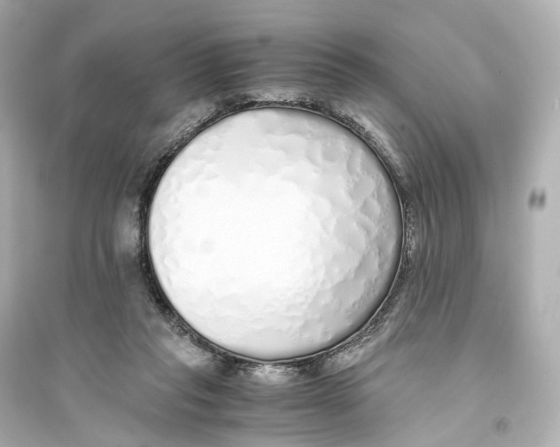 X0000093770261200711131218