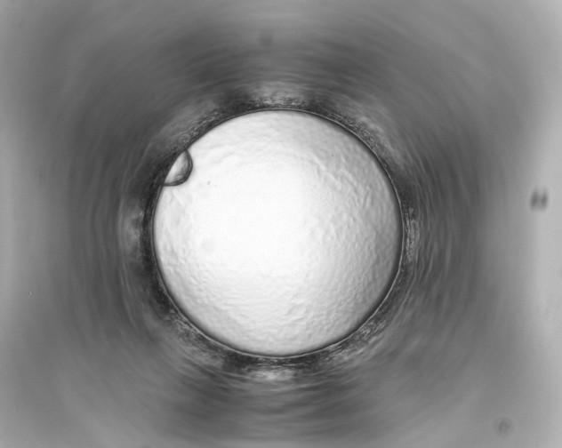 X0000093770263200711131218