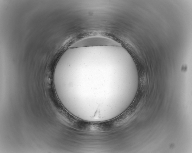 X0000093770264200711131218