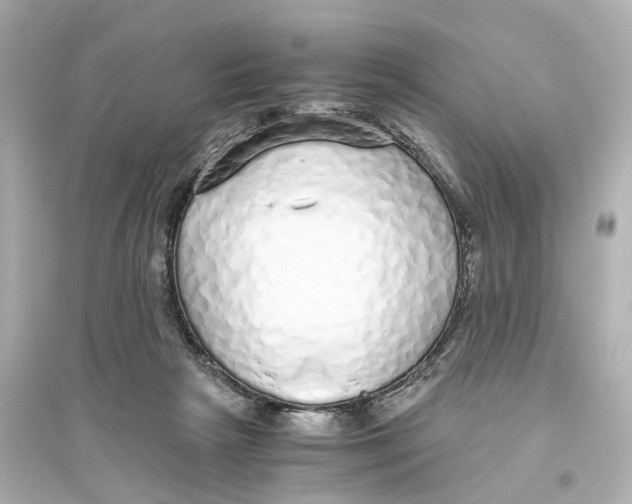 X0000093770265200711131218