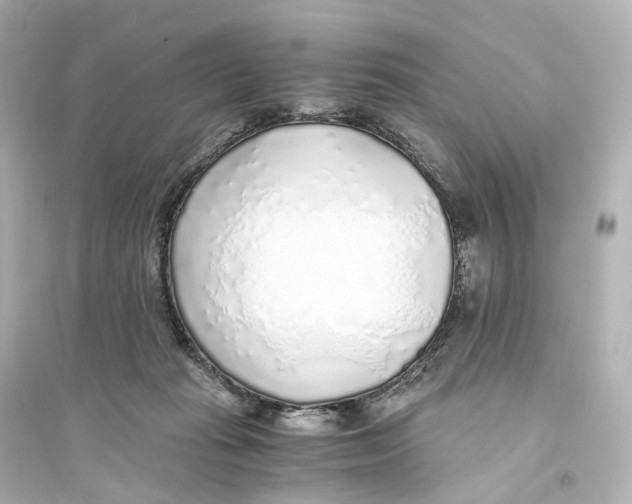 X0000093770269200711131218