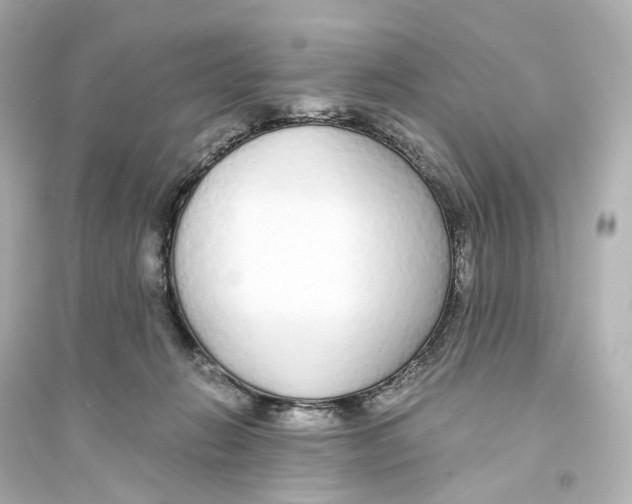 X0000093770270200711131218