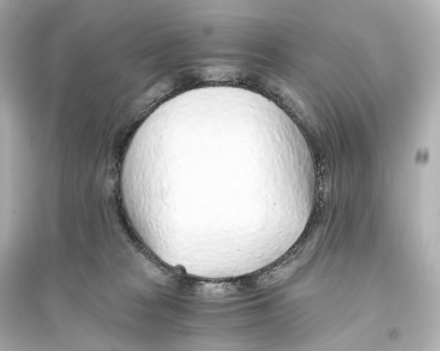 X0000093770277200711131219