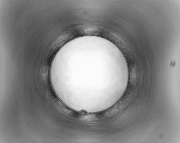 X0000093770278200711131219