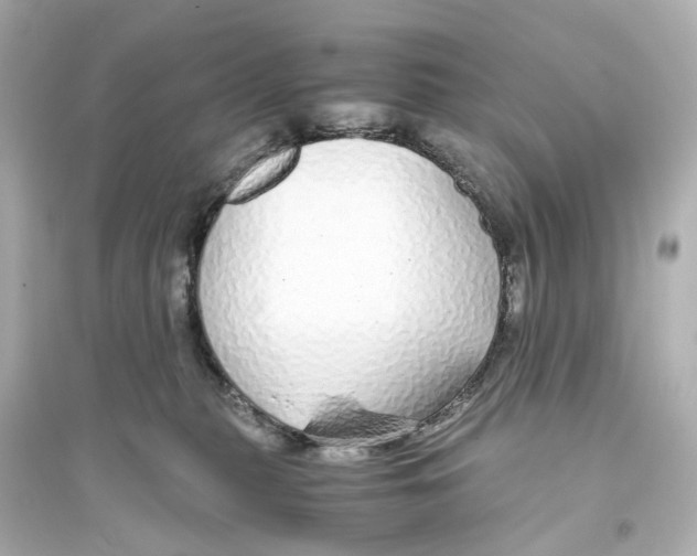 X0000093770279200711131219