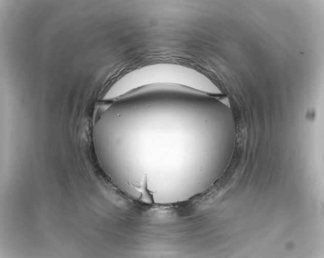 X0000093770280200711131219