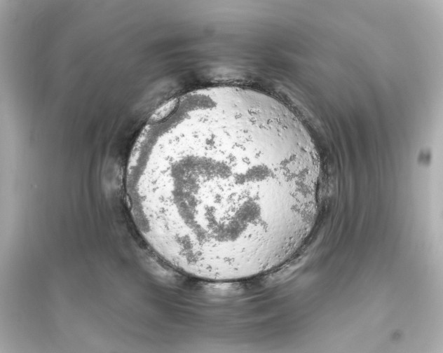 X0000093770281200711131219