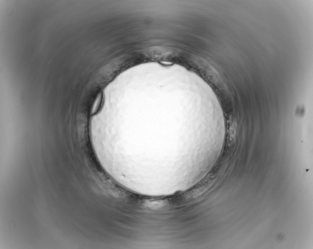 X0000093770283200711131219