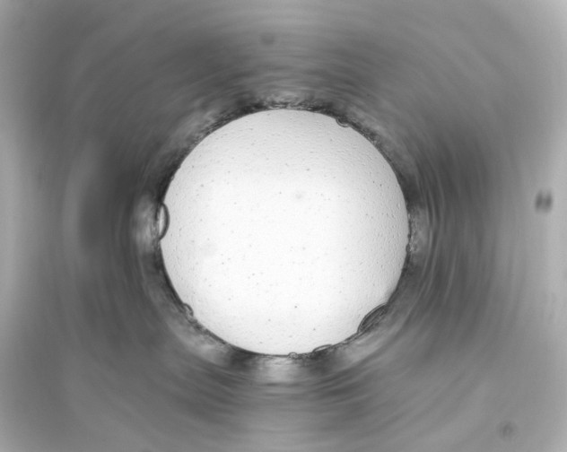 X0000093770287200711131219