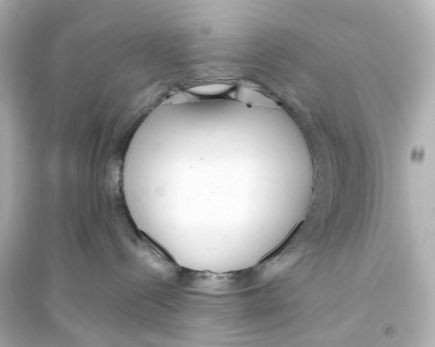 X0000093770288200711131219