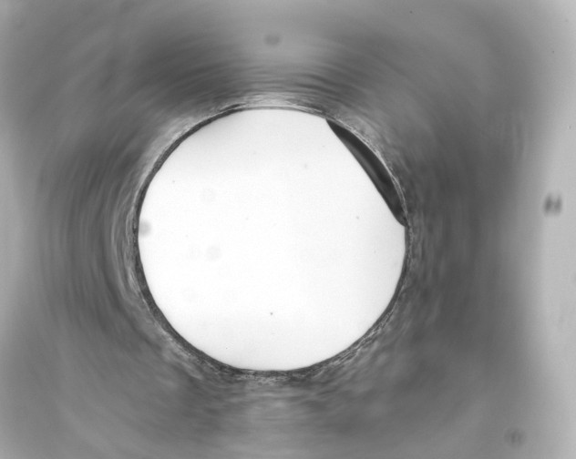 X0000093770289200711131218