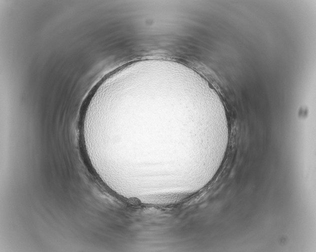 X0000093770290200711131218