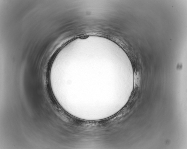 X0000093770291200711131218