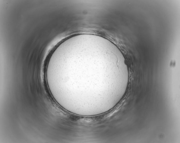 X0000093770294200711131218