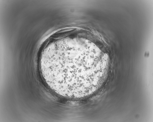 X0000093770295200711131218