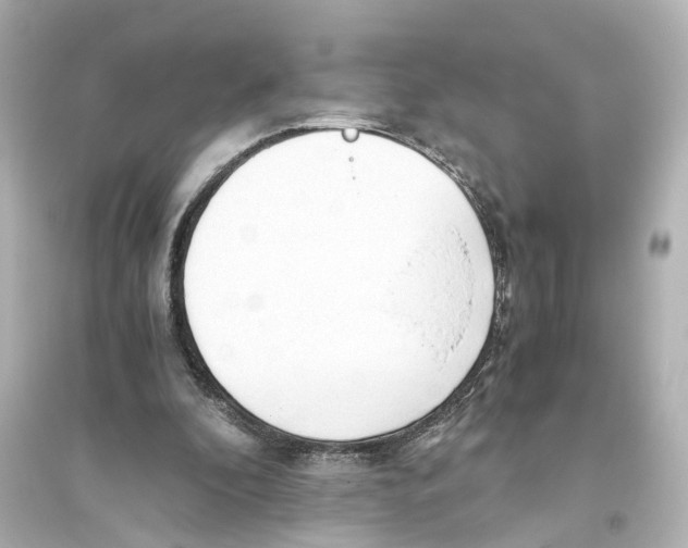 X0000093770296200711131218