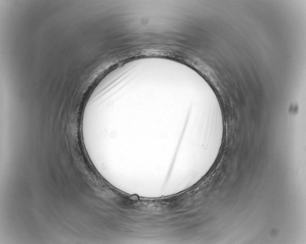 X0000093770297200711131218