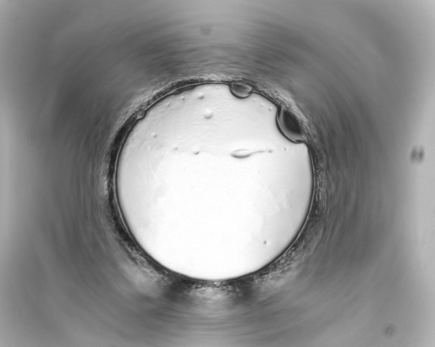 X0000093770299200711131218