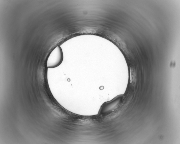 X0000093770300200711131218