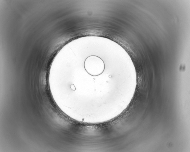 X0000093770302200711131218