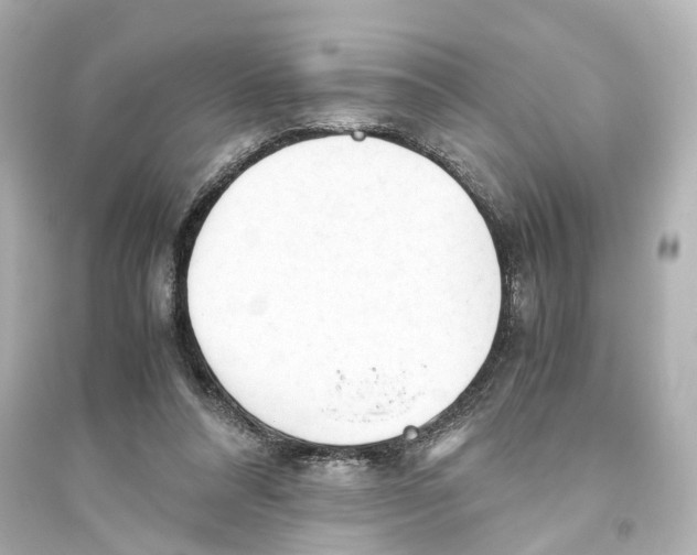 X0000093770304200711131218