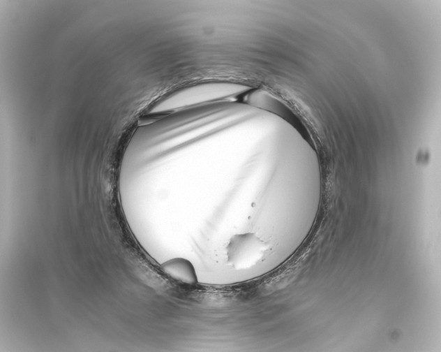 X0000093770305200711131218