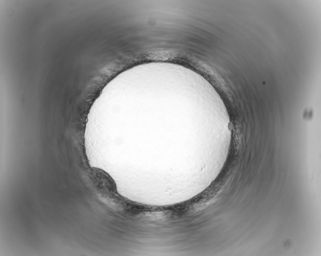 X0000093770307200711131218