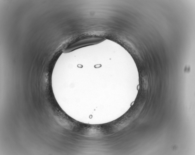 X0000093770308200711131218