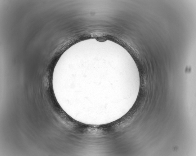 X0000093770311200711131218