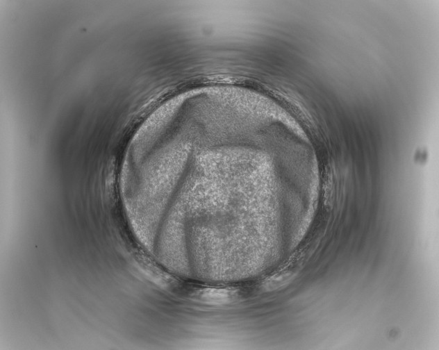 X0000093770314200711131217