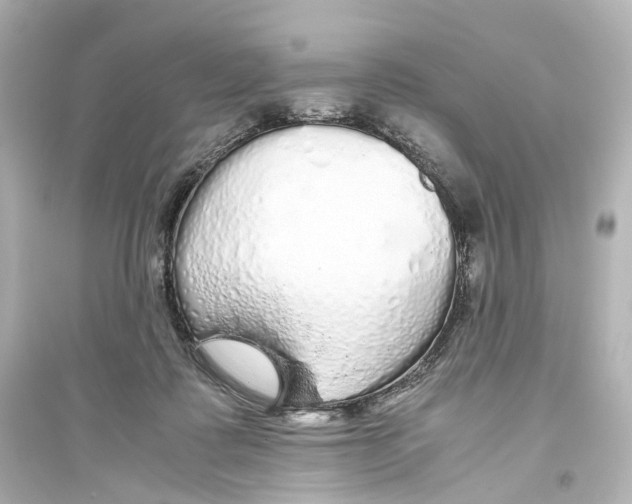 X0000093770315200711131217