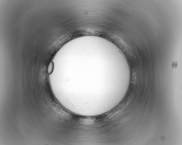 X0000093770318200711131217