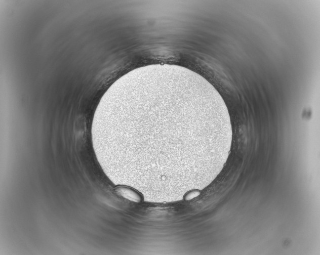 X0000093770320200711131217